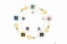 肾阳虚怎么治