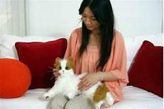 微信头像机器猫什么生肖机器猫梗