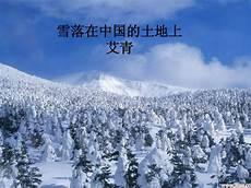 雪落在中国的土地上题材